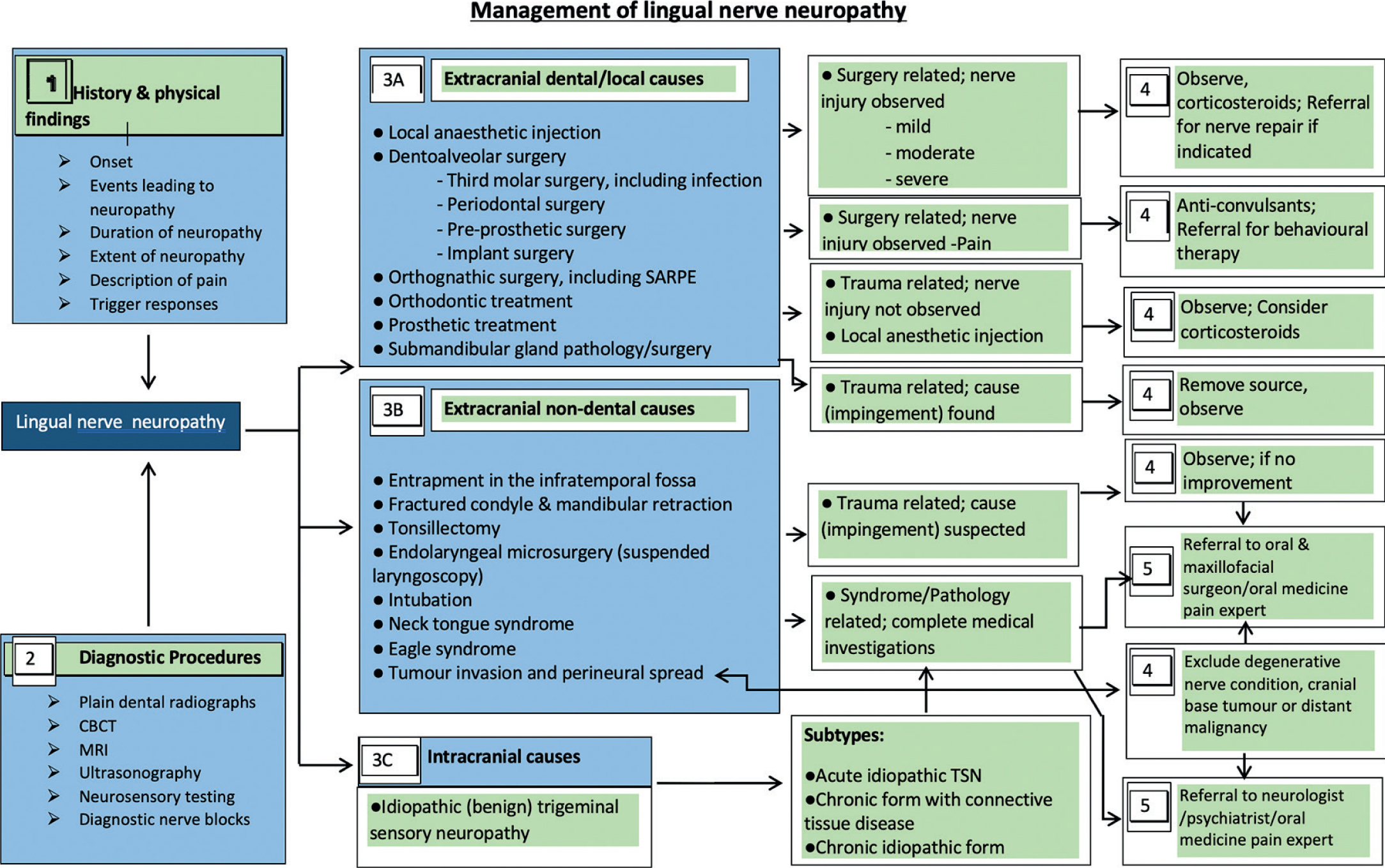 Dental Malpractice Central  Inferior Alveolar Nerve Anatomy